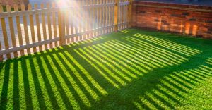 Sunlight casting shadows on green grass near a wooden fence and brick wall