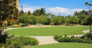 Green grassy area with trees and a walkway under a blue sky