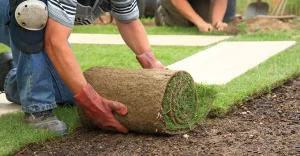 Person laying down a roll of sod on prepared ground. Another person works in the background