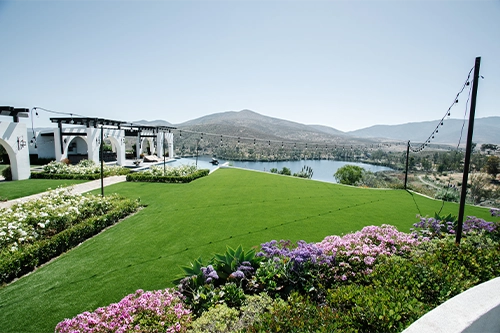 View of a green lawn with flowers, overlooking a lake and mountains in the background
