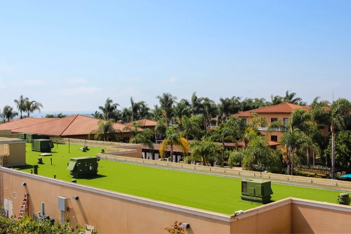 View of a green rooftop with structures, surrounded by palm trees and buildings
