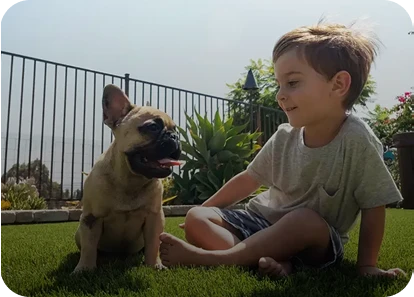 A child sits on grass next to a French Bulldog in a sunny outdoor setting