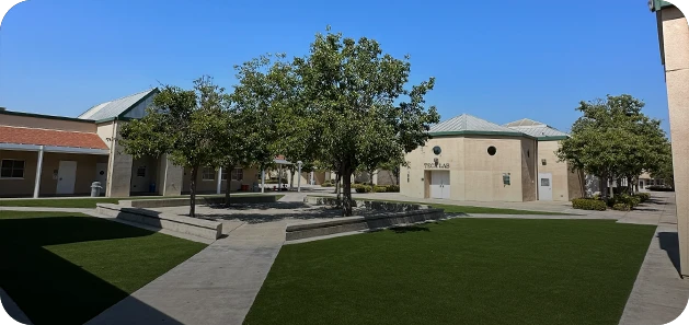 A courtyard with grass and trees, surrounded by buildings under a clear blue sky