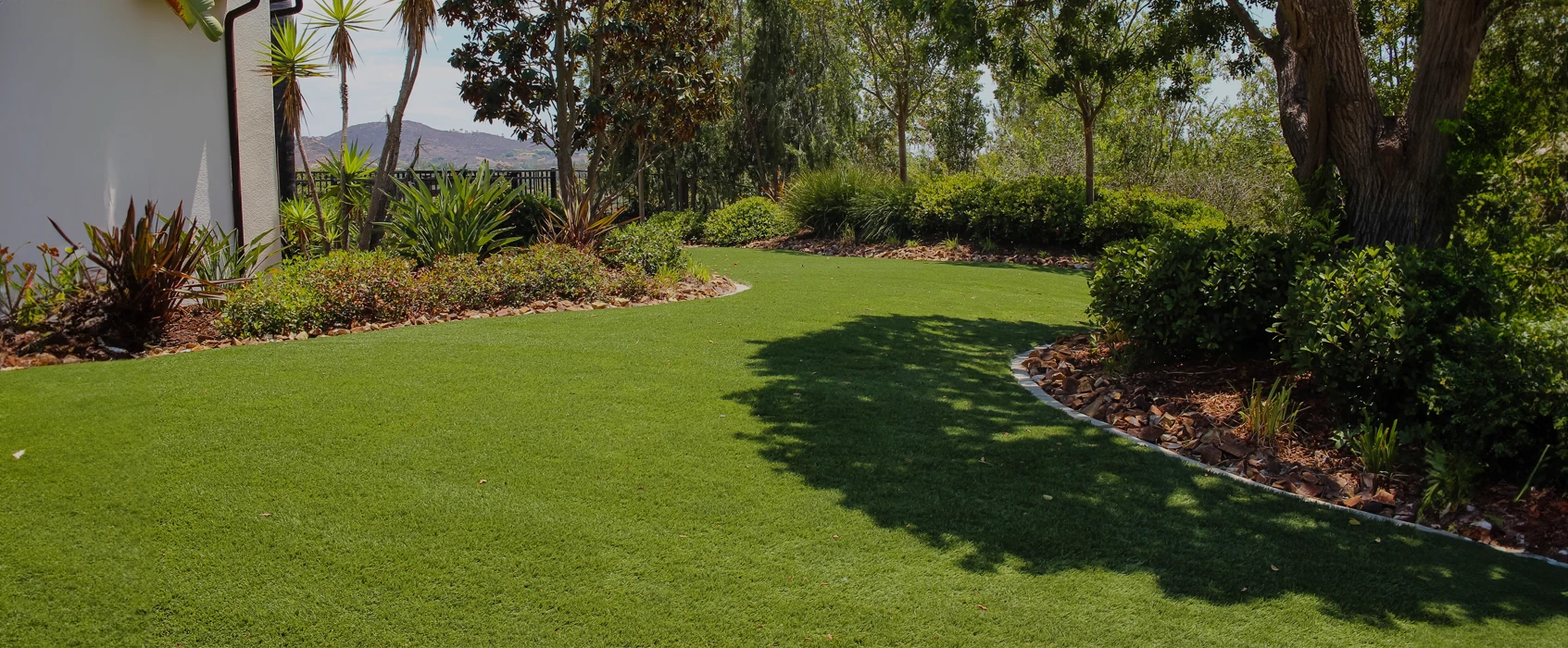 Lush, green lawn with curved pathway and surrounding shrubs and trees