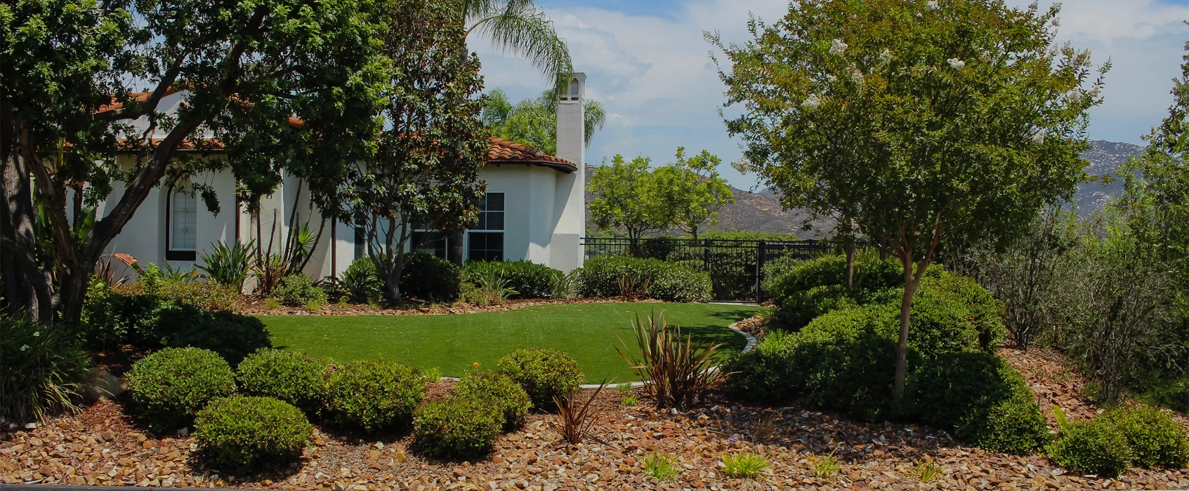 A house surrounded by grass, shrubs, and trees under a blue sky