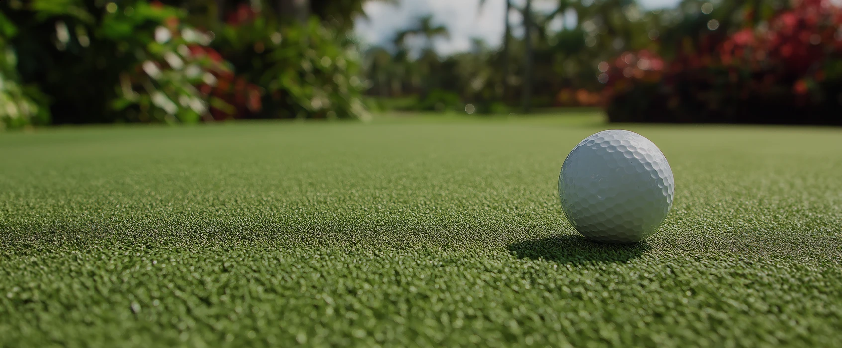 Close-up of a white golf ball on green grass with blurred plants in the background