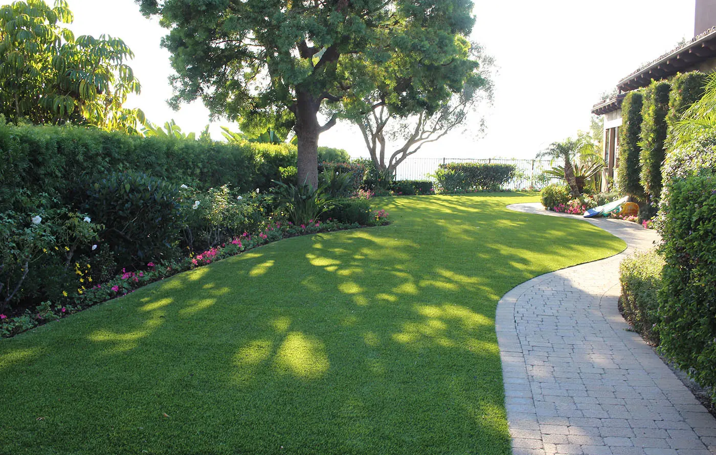 A landscaped yard with neatly trimmed grass, a path, and hedges under sunlight
