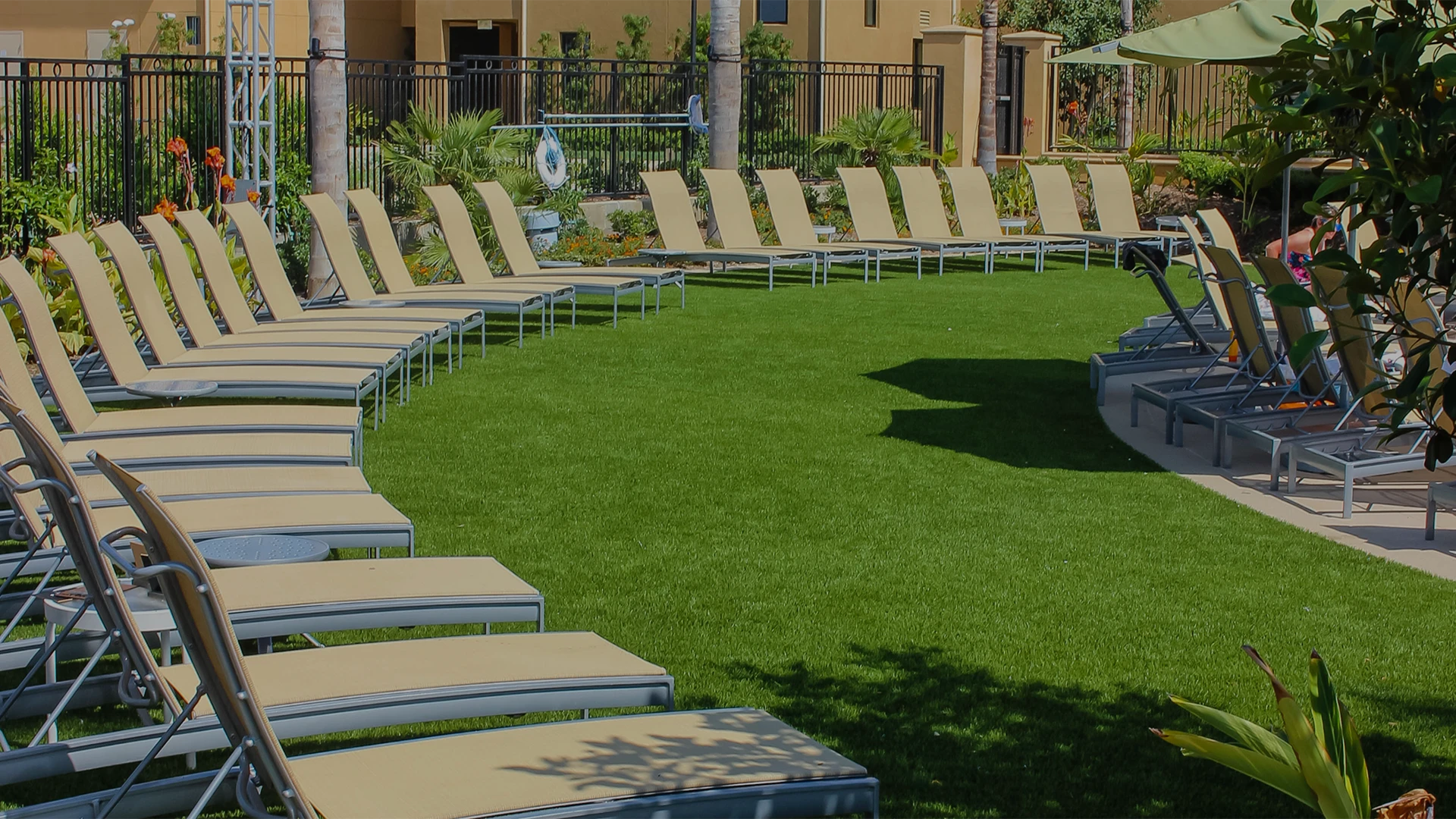 Lounge chairs arranged in a curved line on grassy area near a pool