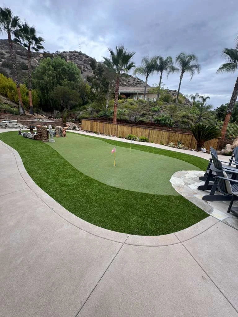 A landscaped yard with a putting green, palm trees, and a stone patio
