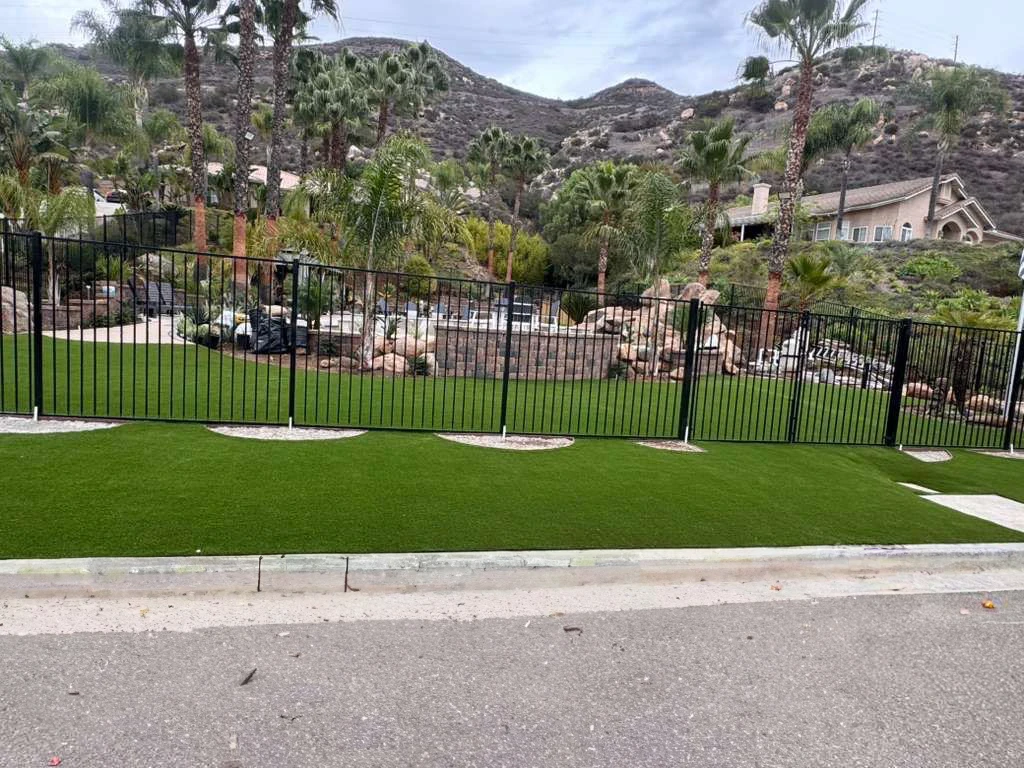 Black fence surrounding green grass area with palm trees and hills in the background