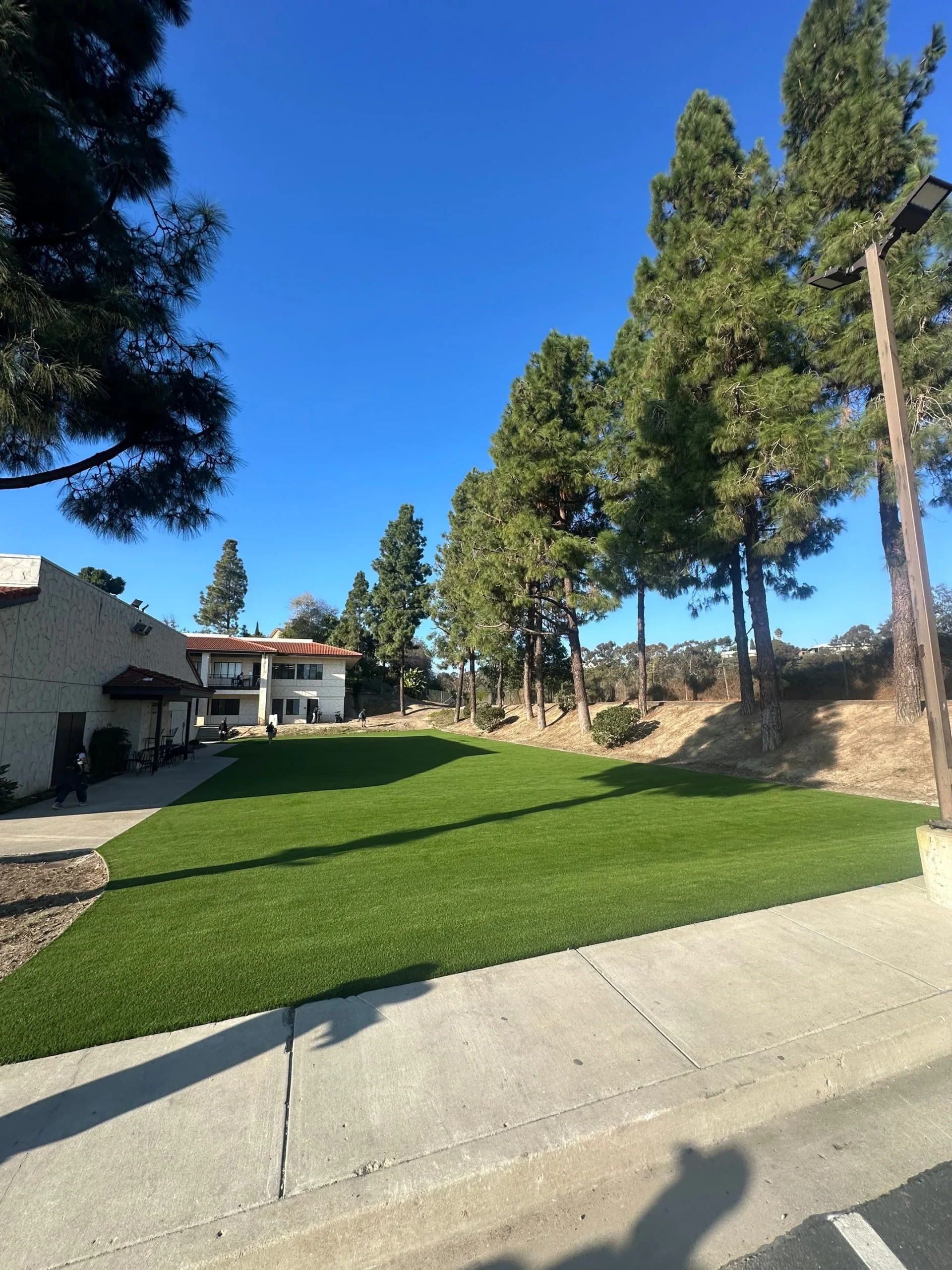 View of a grassy area with trees and a building under a clear blue sky