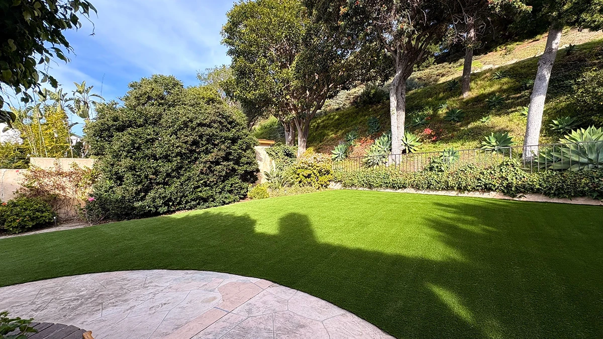 View of a green lawn surrounded by trees and shrubs under a blue sky
