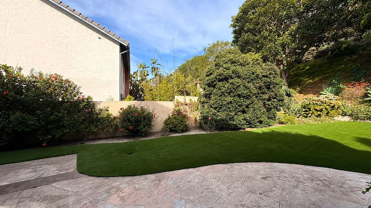 View of a landscaped garden with grass, shrubs, and a blue sky