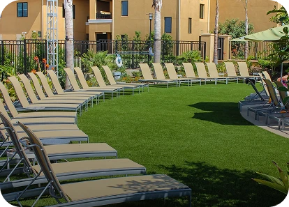 Row of lounge chairs arranged in a semi-circle on green grass near a pool area