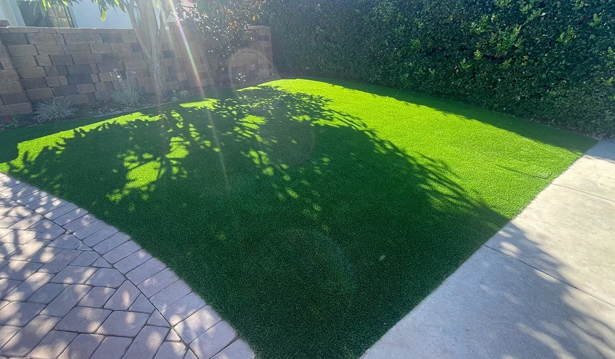 A green lawn with shadows from nearby trees and a paved pathway beside it