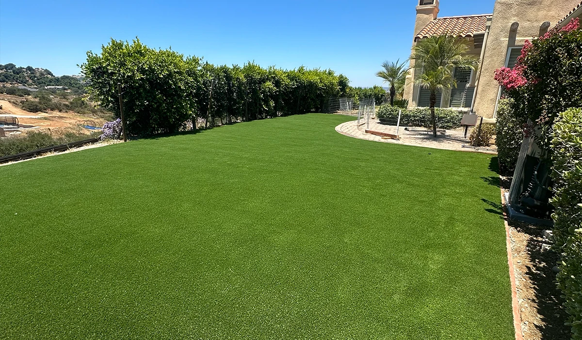 Lush green lawn with hedges and a house in the background against a clear blue sky