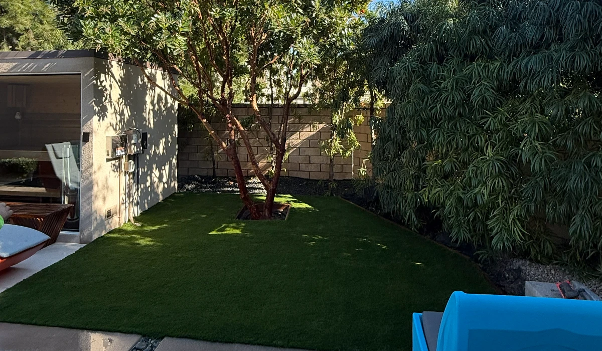 A backyard with a grassy area, a tree, and shrubs, adjacent to a building