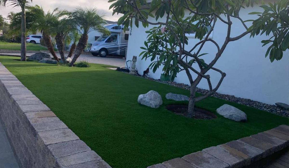 Green lawn with rocks and a small tree next to a white wall and parked vehicles
