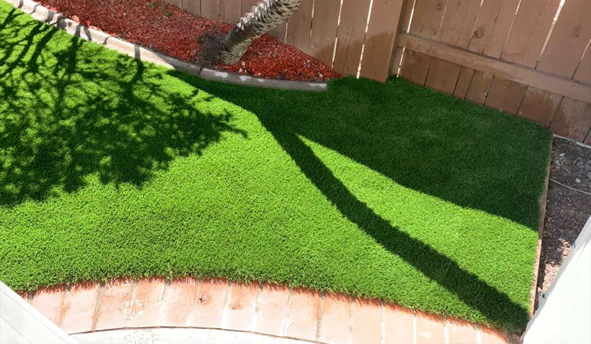 Green grass area with a curved edge, bordered by a concrete path and a wood fence