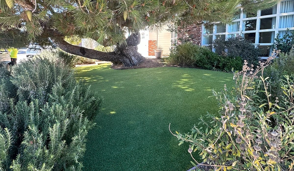 Lawn with artificial grass, surrounded by shrubs and a large tree in the background