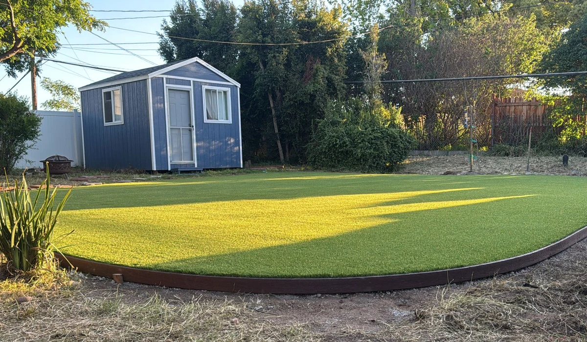 A green lawn with a small blue shed in the background and trees