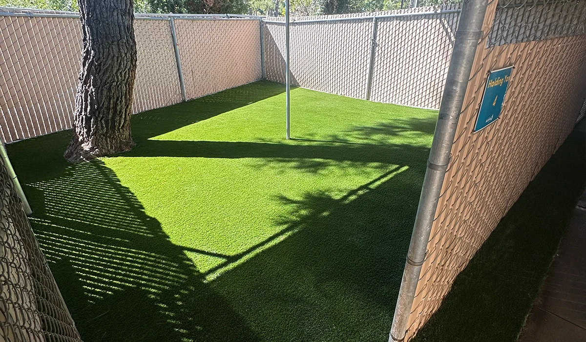Artificial grass area enclosed by a fence with a tree and shade patterns
