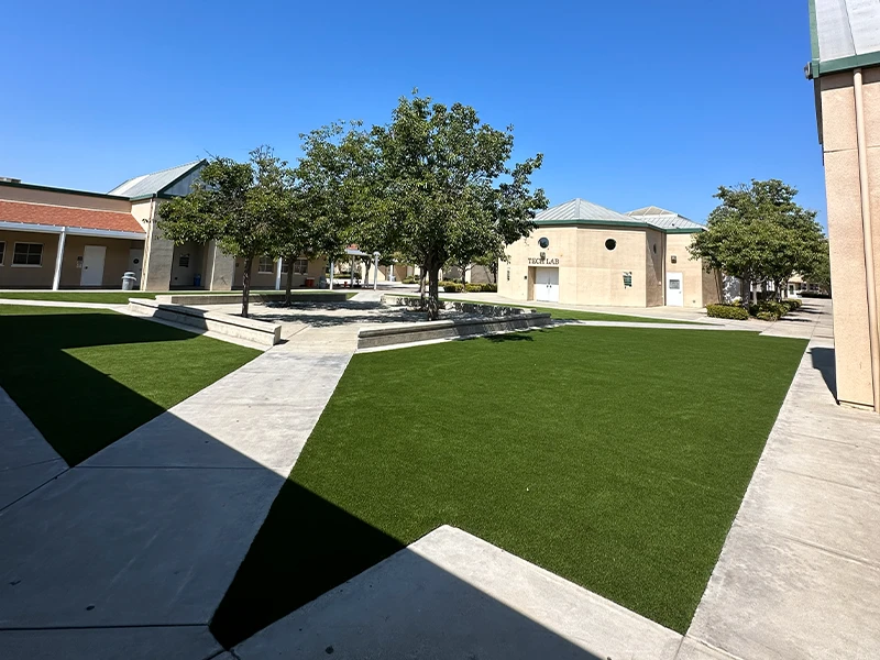 Outdoor area with manicured grass, trees, and concrete pathways in sunlight