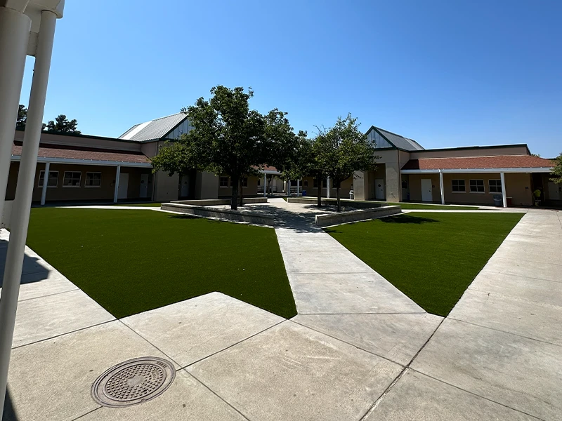 View of a courtyard with trees, grass, and pathways between buildings
