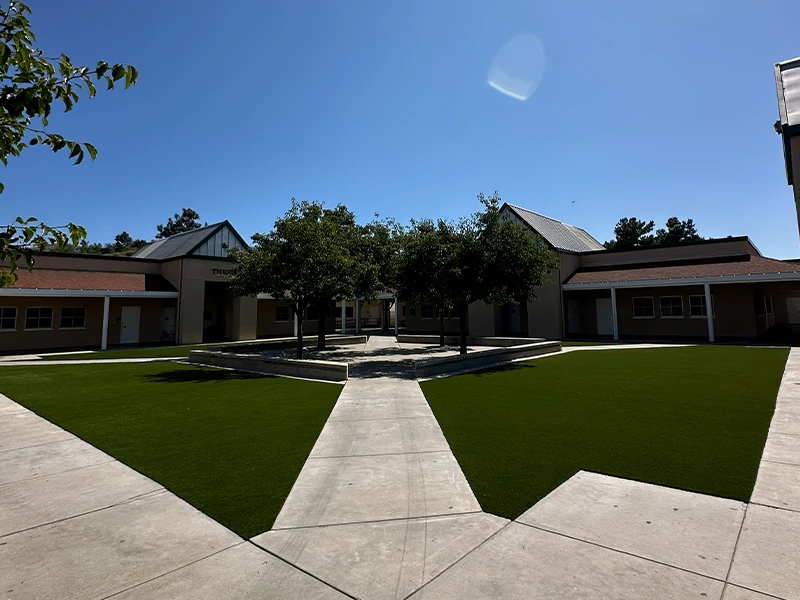 A courtyard with green grass, trees, and pathways under a clear blue sky