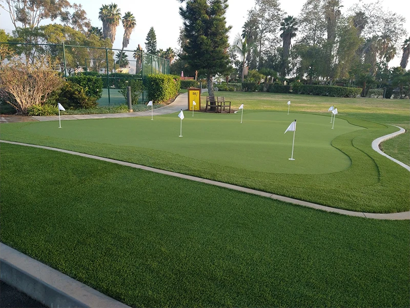 Putting green with small flags, surrounded by grass and trees. A building is in the background