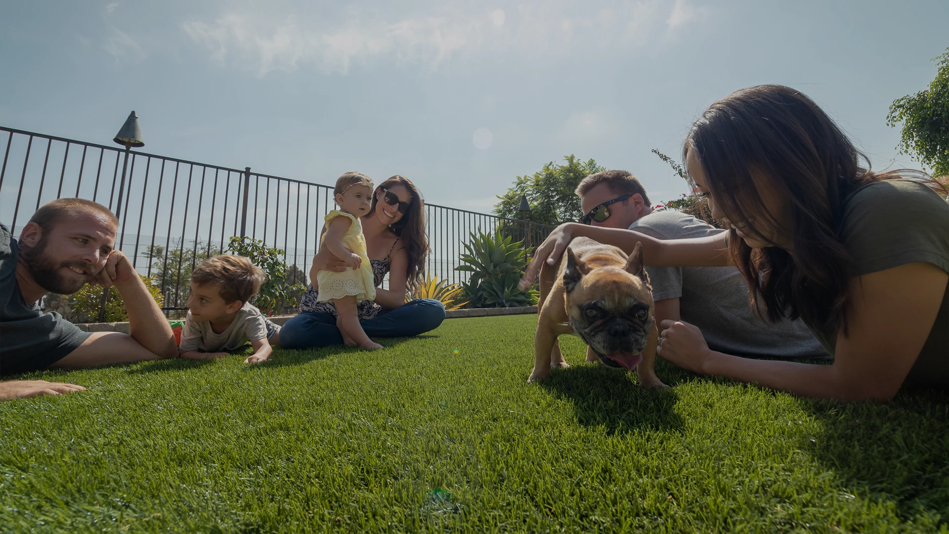 A group of adults and children play with a dog on green grass in sunlight